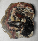 Preview: Opaliced,Petrified,Wood,opalisiert,versteinertes Holz,Heilstein,poliert